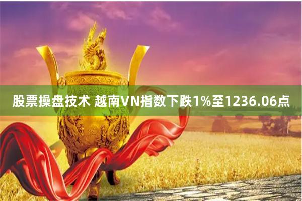 股票操盘技术 越南VN指数下跌1%至1236.06点