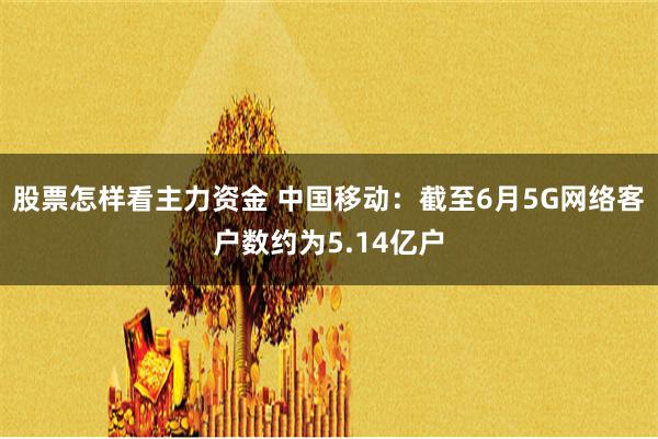 股票怎样看主力资金 中国移动：截至6月5G网络客户数约为5.14亿户