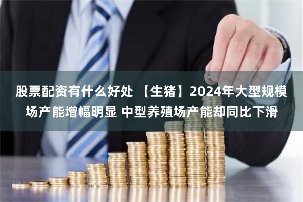 股票配资有什么好处 【生猪】2024年大型规模场产能增幅明显 中型养殖场产能却同比下滑