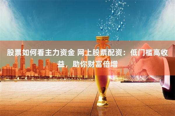 股票如何看主力资金 网上股票配资：低门槛高收益，助你财富倍增
