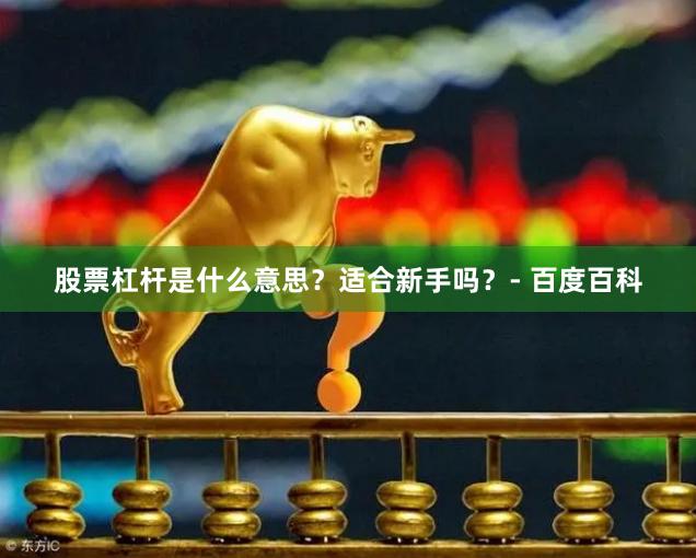 股票杠杆是什么意思？适合新手吗？- 百度百科