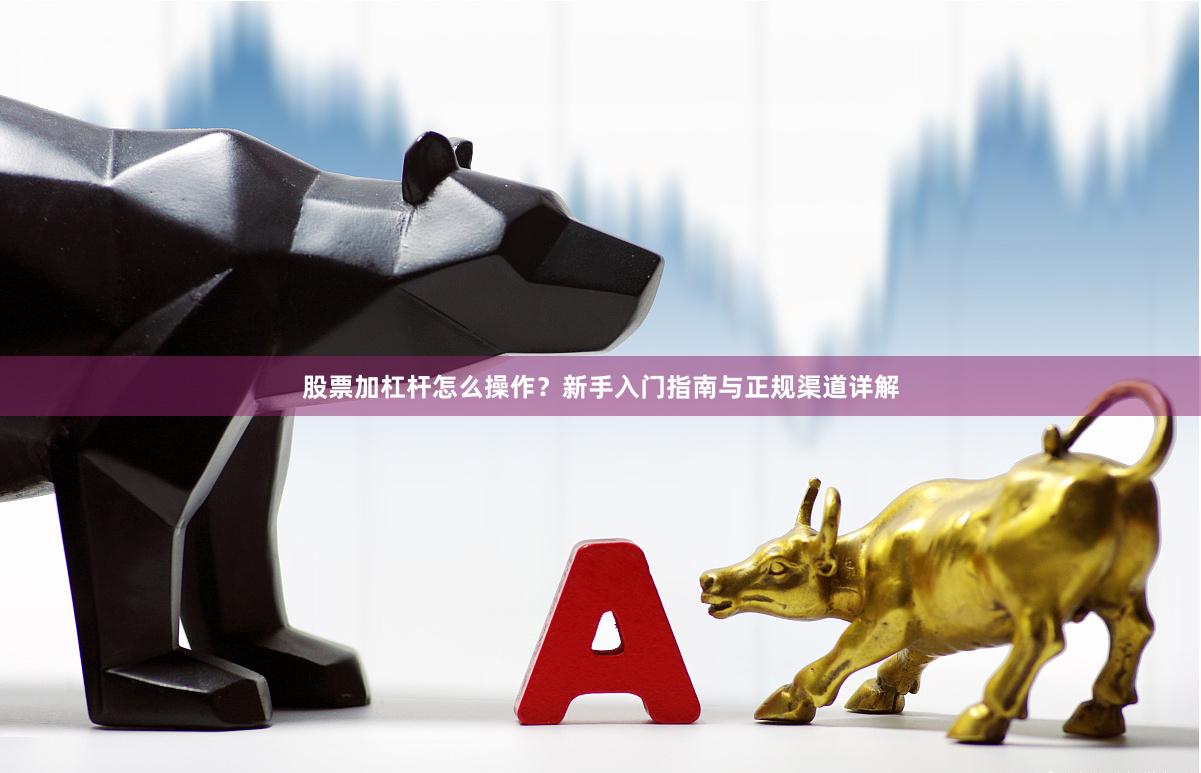 股票加杠杆怎么操作？新手入门指南与正规渠道详解