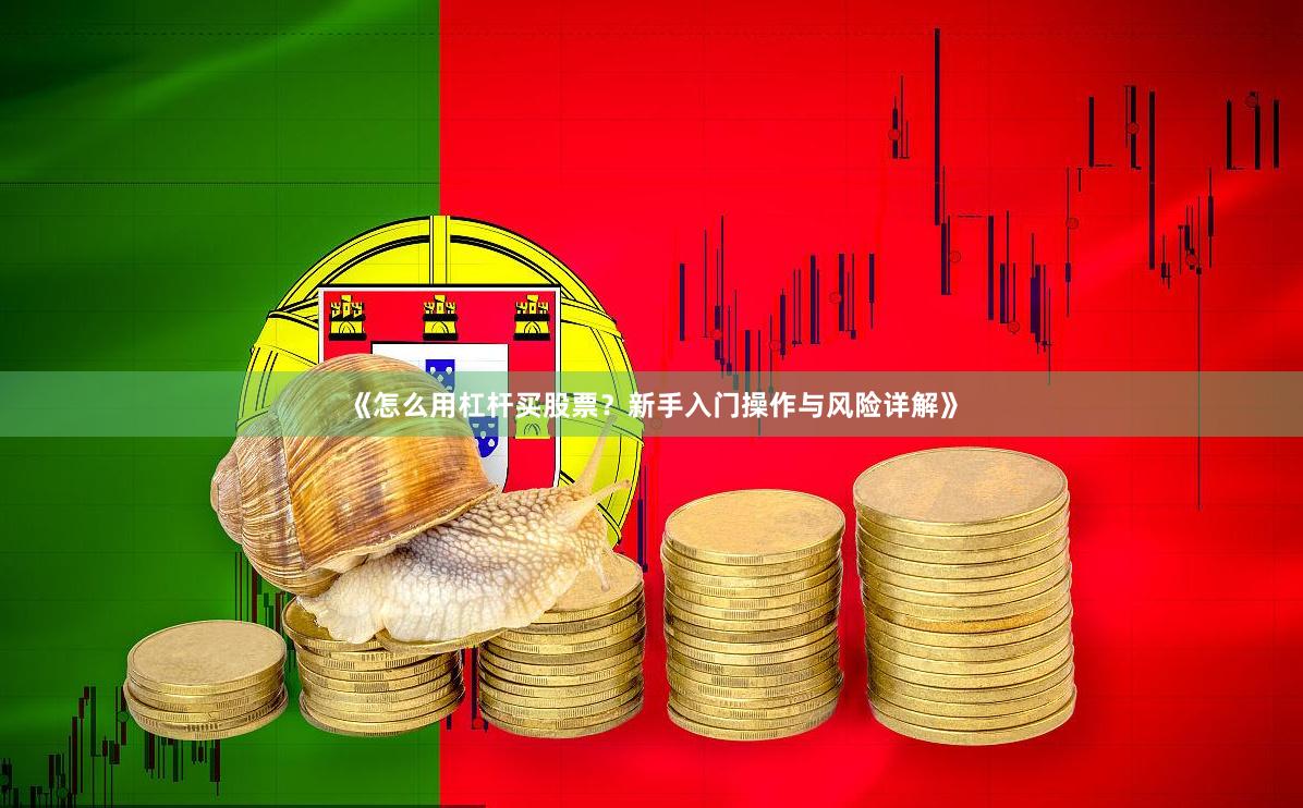 《怎么用杠杆买股票？新手入门操作与风险详解》