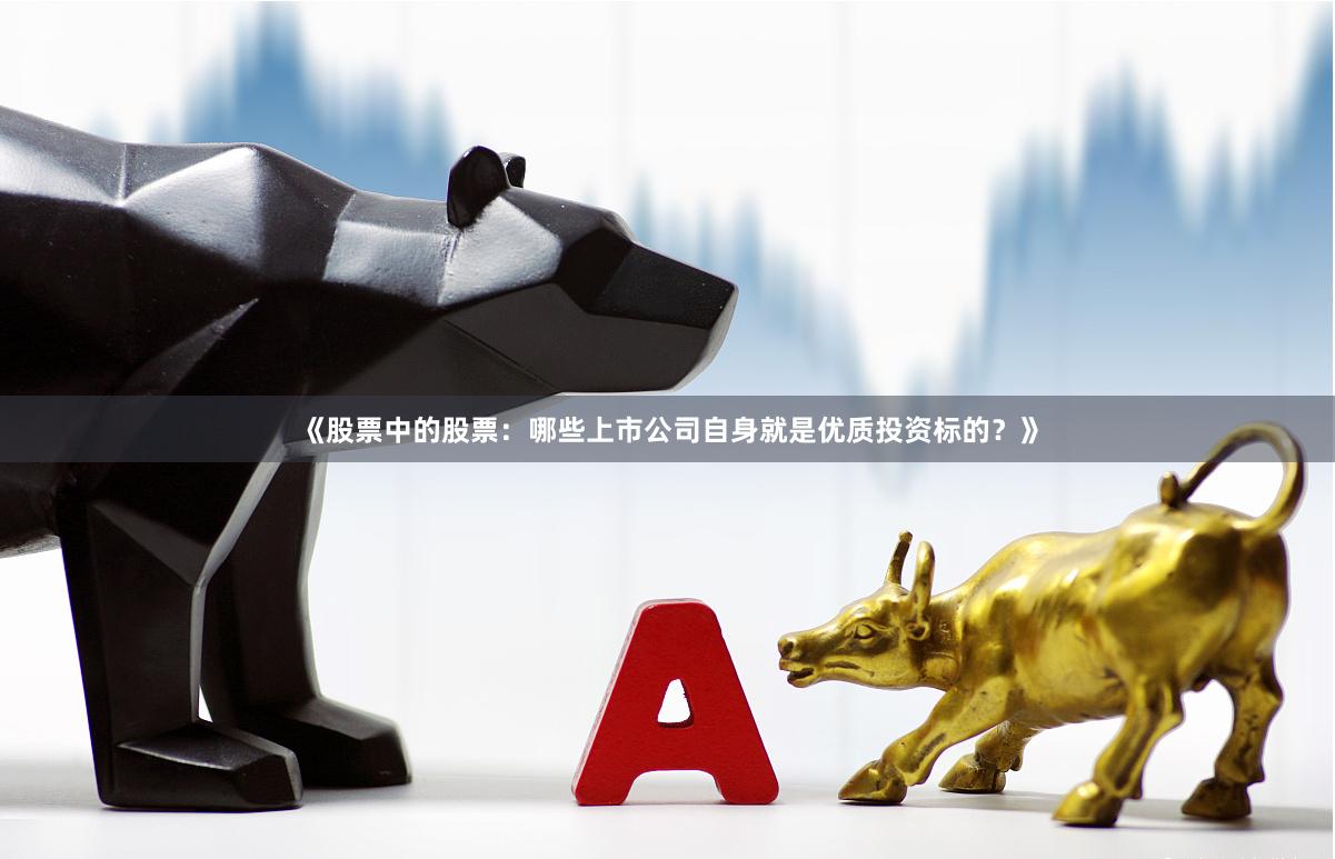 《股票中的股票：哪些上市公司自身就是优质投资标的？》