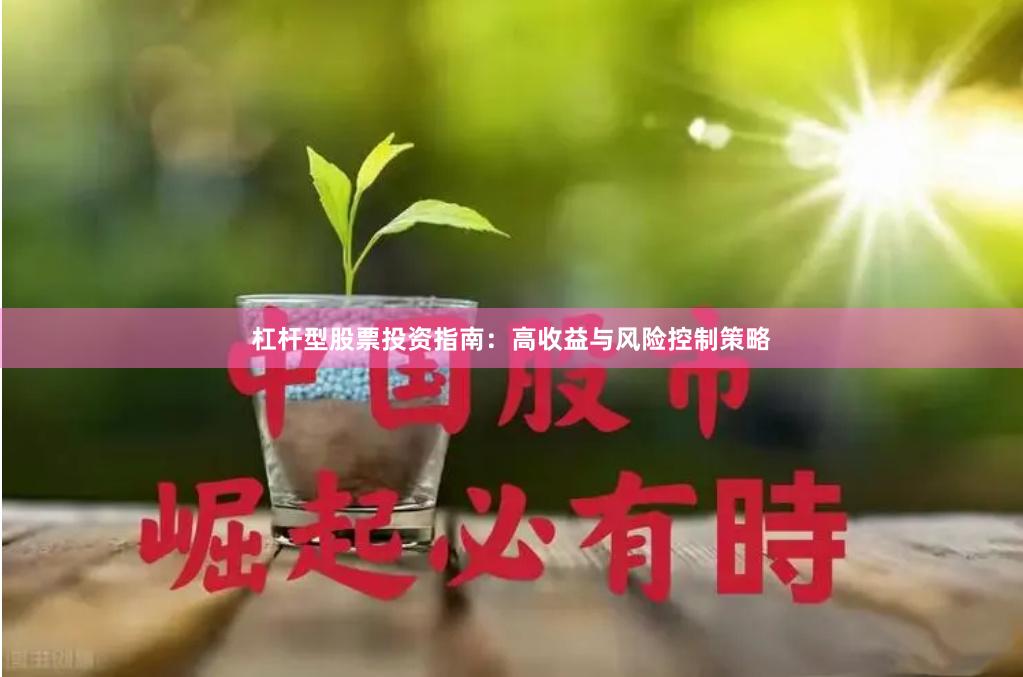 杠杆型股票投资指南：高收益与风险控制策略