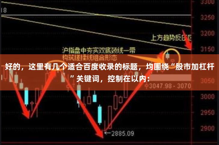 好的，这里有几个适合百度收录的标题，均围绕“股市加杠杆”关键词，控制在以内：